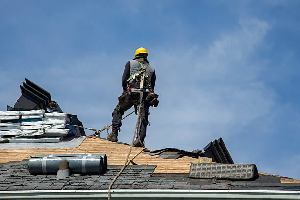 Professional Roof Replacement technician working in Alledonia, OH